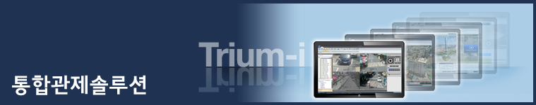 triumi_solution